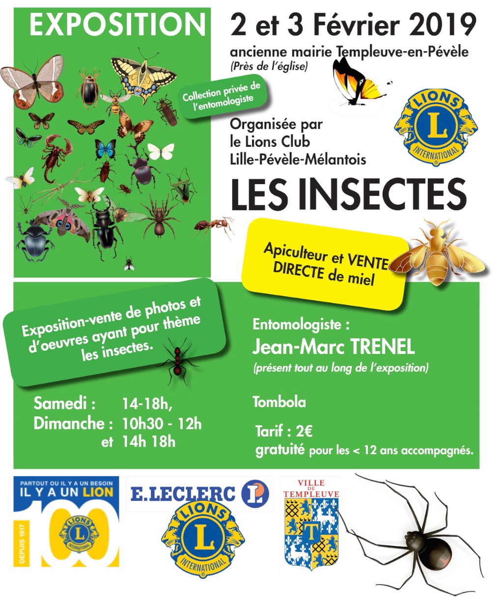 Exposition d’insectes à la mairie-centre.