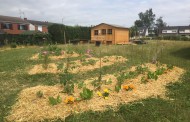 Jardin partagé « Espace Vers » de Templeuve-en-Pévèle : Retour en images