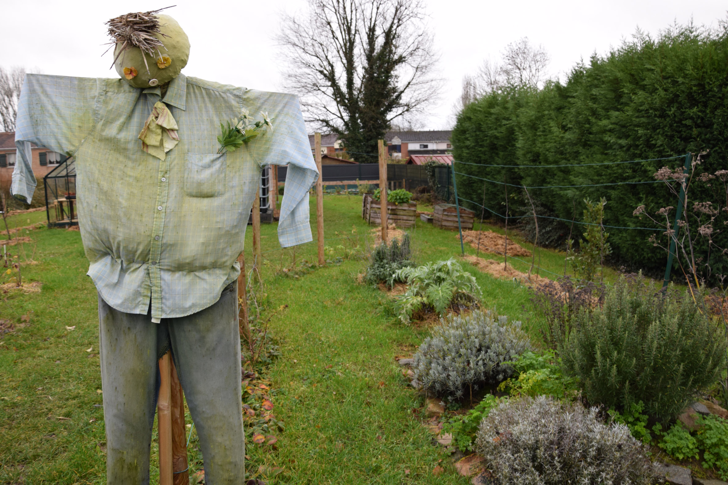 Reprise des activités au jardin partagé « l’espace vers »