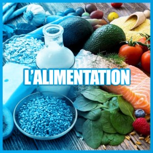 alimentation