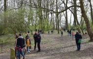 Chasse aux œufs