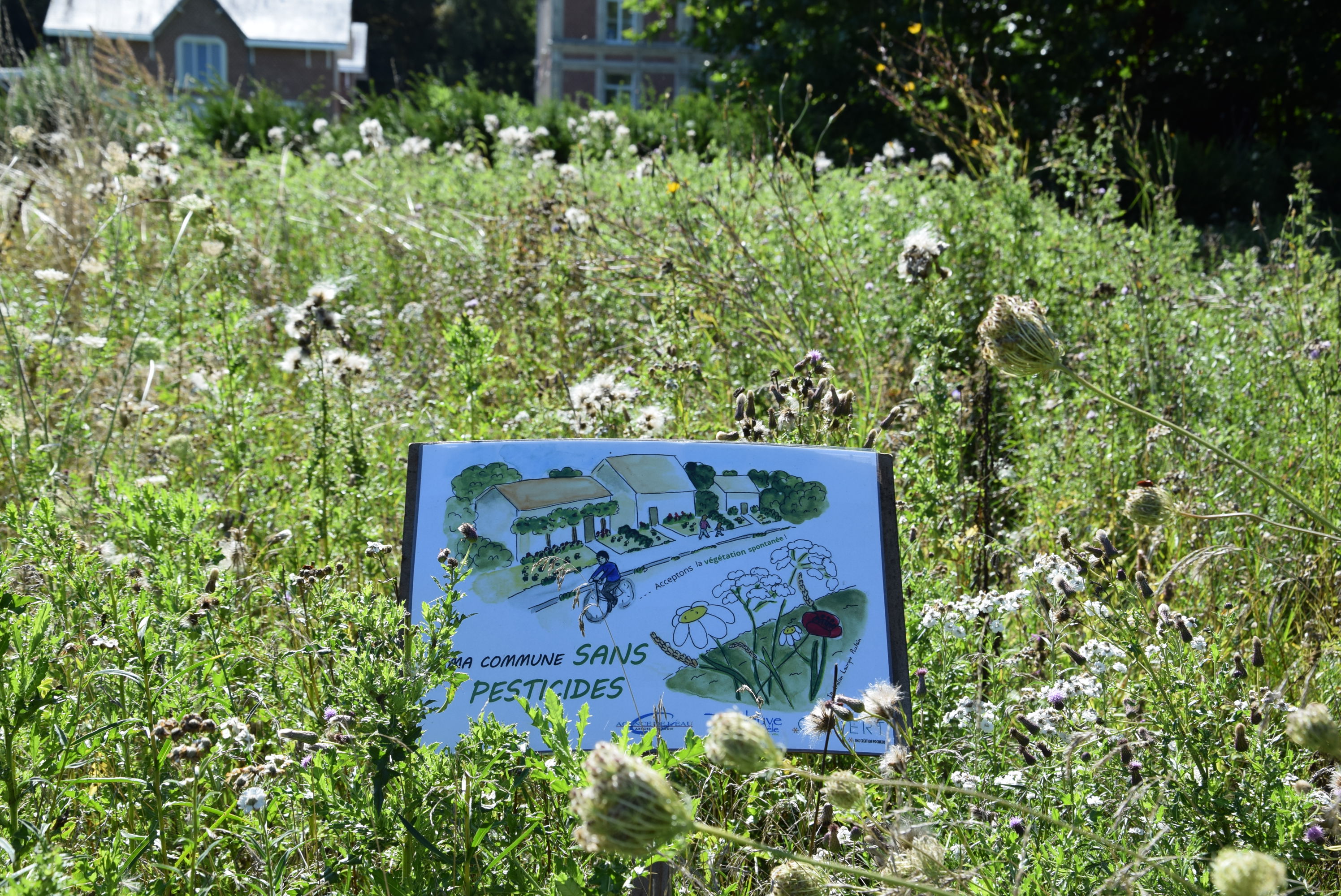 Entretien des espaces verts