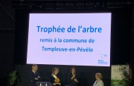 Trophée de l’arbre