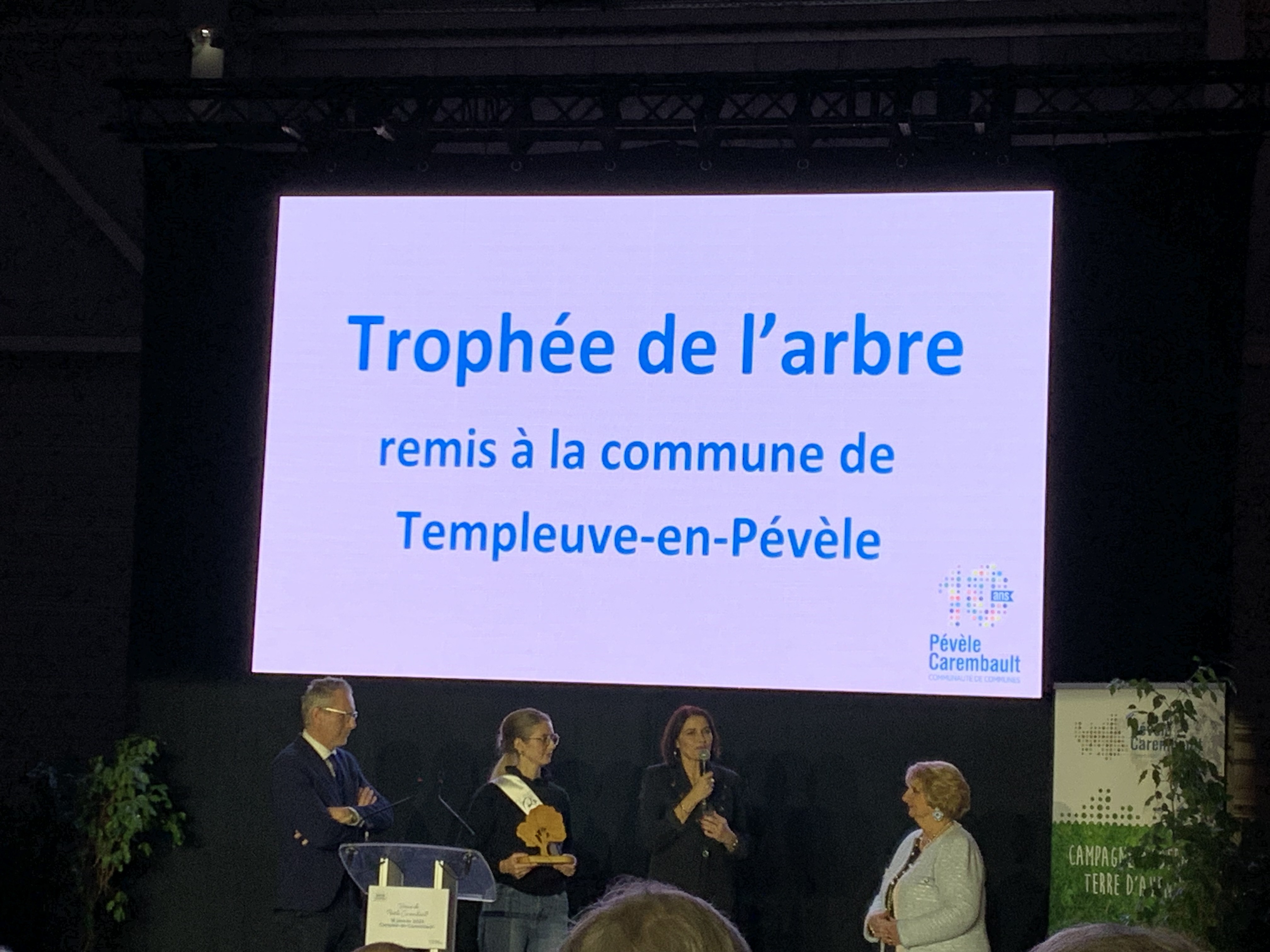 Trophée de l’arbre