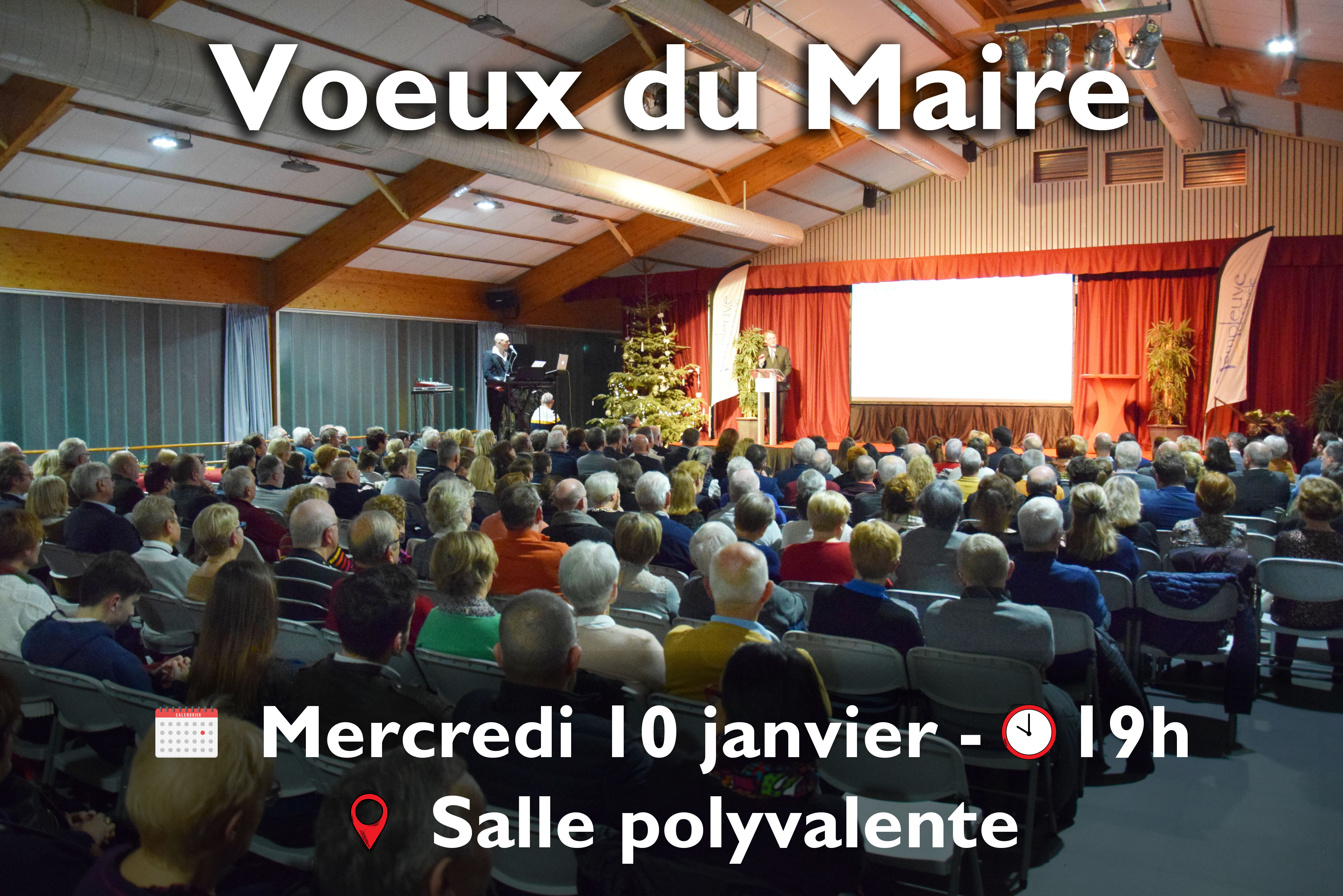 Rappel : Vœux du Maire