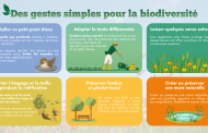 Des gestes simples pour la biodiversité !